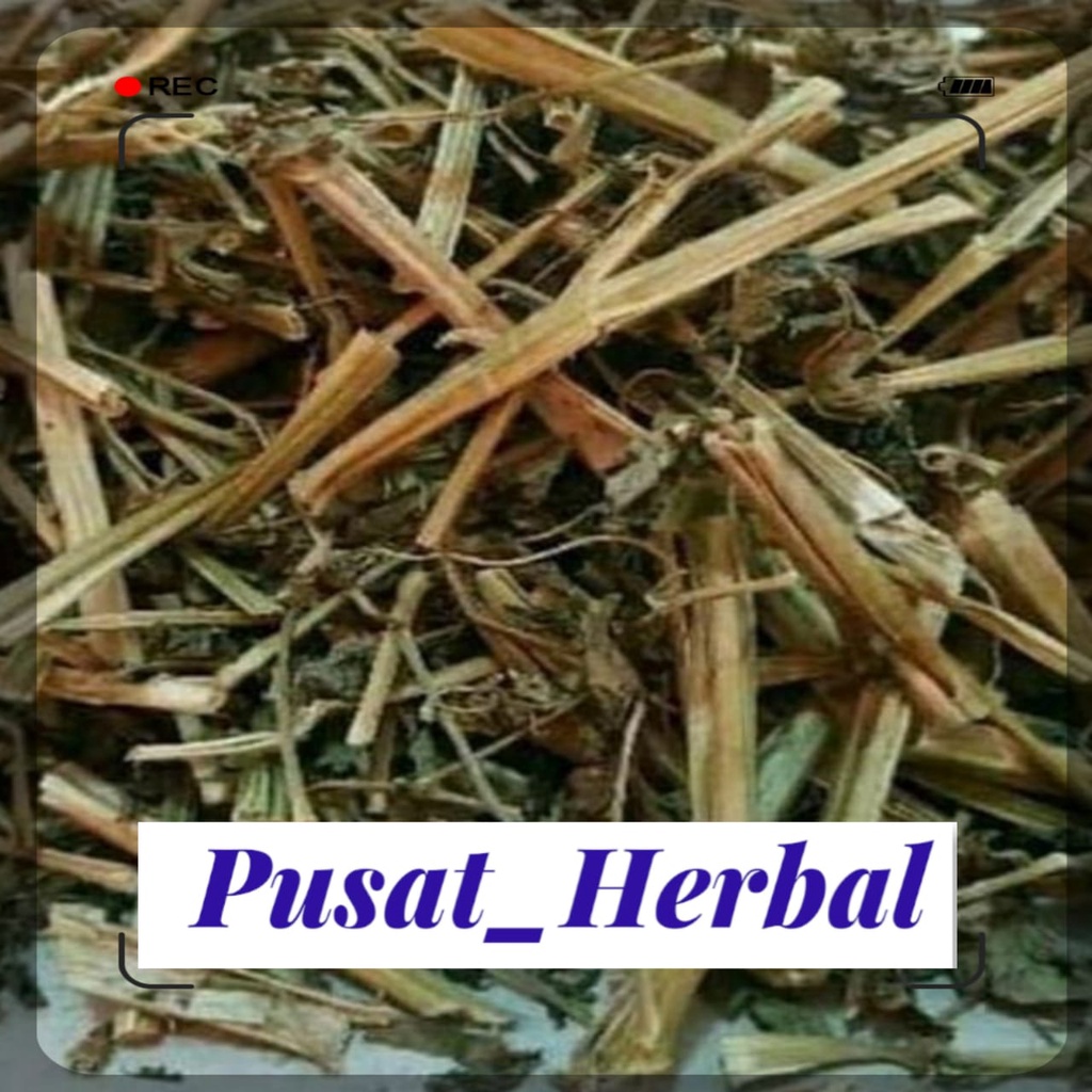 ciplukan kering 1kg ciplukan cacah kering