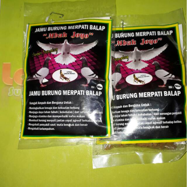 Mbah joyo merpati kamlang 50pil jamu herbal burung dara