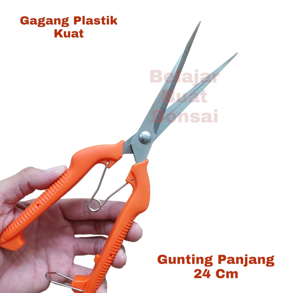 Gunting Dahan Bunga Dan Buah Panjang 24 Cm