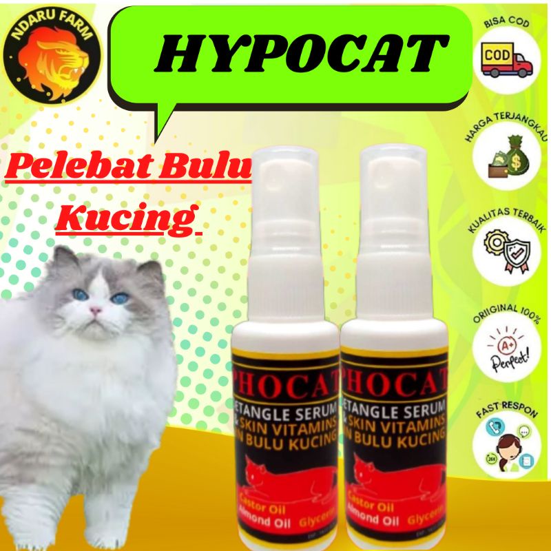 Jual Vitamin Pelebat Bulu Kucing Penumbuh Bulu Kucing NDARUFRAM ...