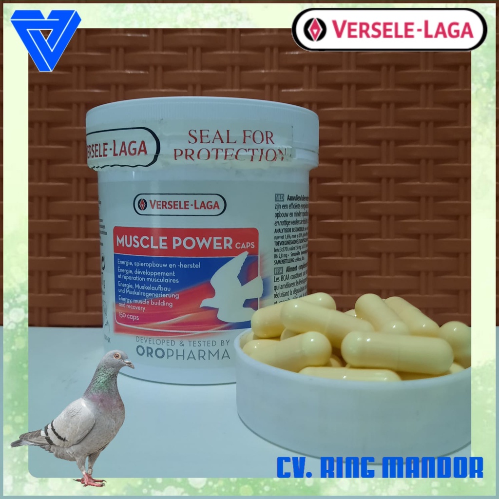 MUSCLE POWER CAPS VERSELE-LAGA 10 KAPSUL
