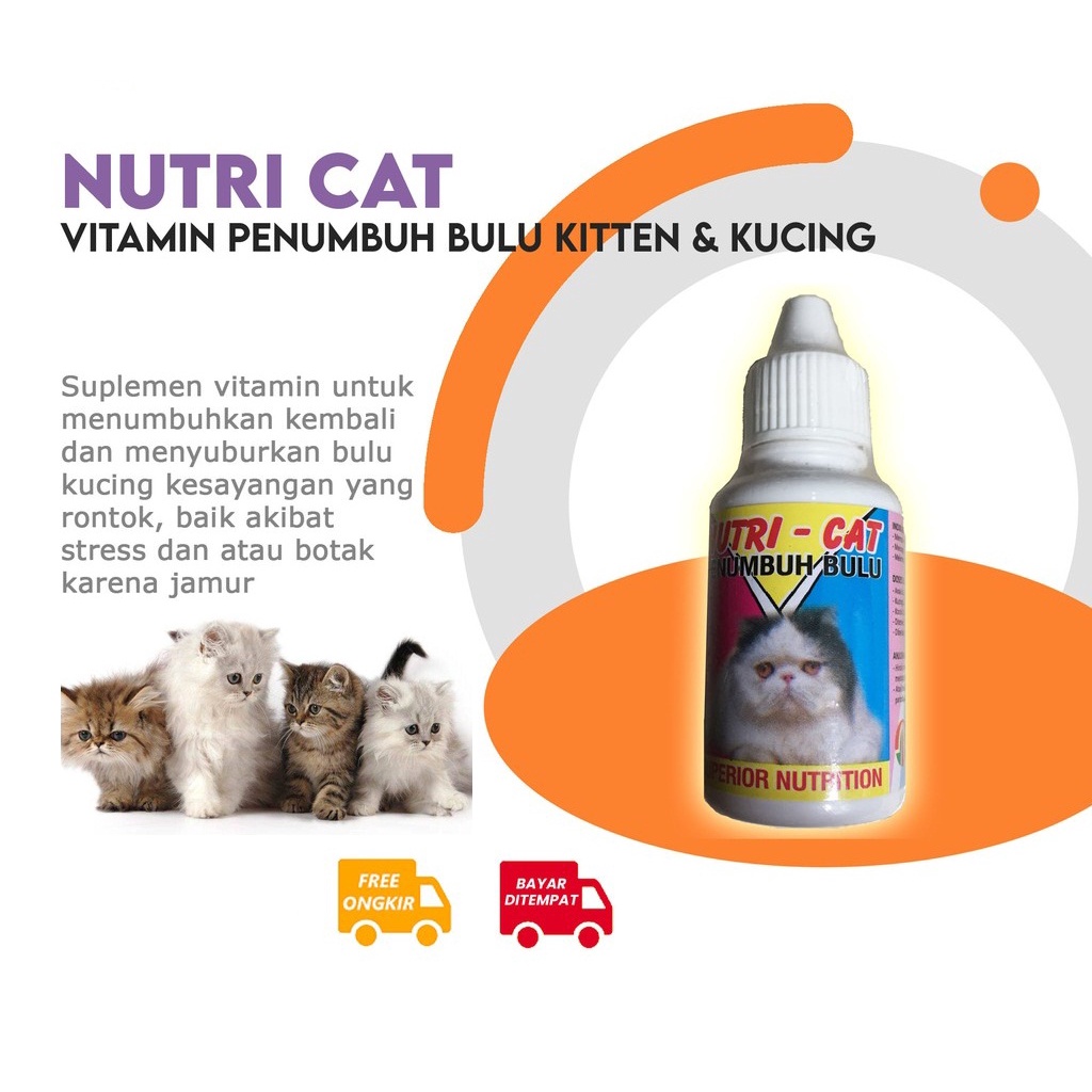 Nutri Cat Drop 30ml Vitamin Penumbuh Bulu Kucing Cat Kitten 30 m Obat Nutricat