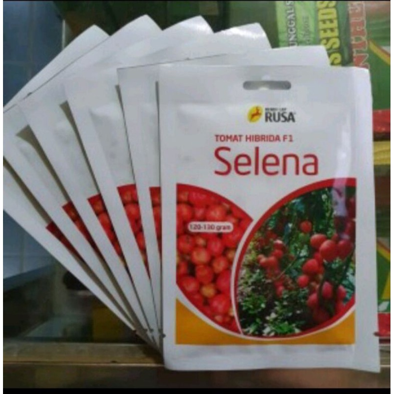 BENIH TOMAT SELENA F1/10 GRAM