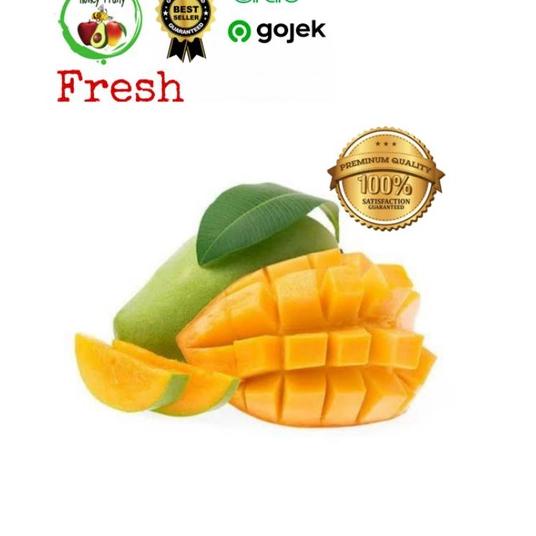 

Stok terbaru Mangga Harummanis B/1kg buruan