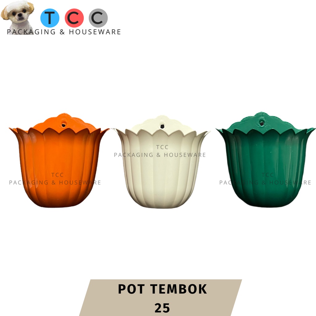 Pot Tembok 25 - Tanaman Bunga Hias Dinding Tempel Bibit Plastik TB Flower