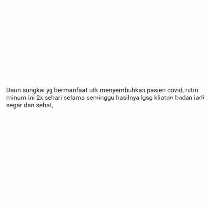

hecl972 DAUN SUNGKAI 500 gram herbal covid 19 harga pendemi amby380