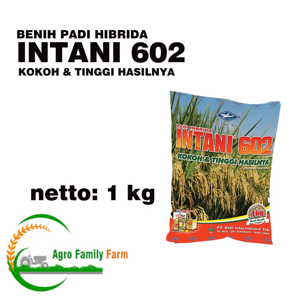 Benih Padi Hibrida INTANI 602 1 Kg