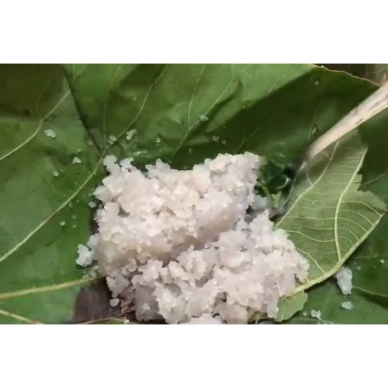 

horok horok, pengganti nasi, teman makan bakso, teman makan pecel(khas Jepara)