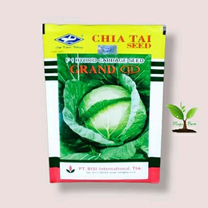 Benih Kubis Grand 11