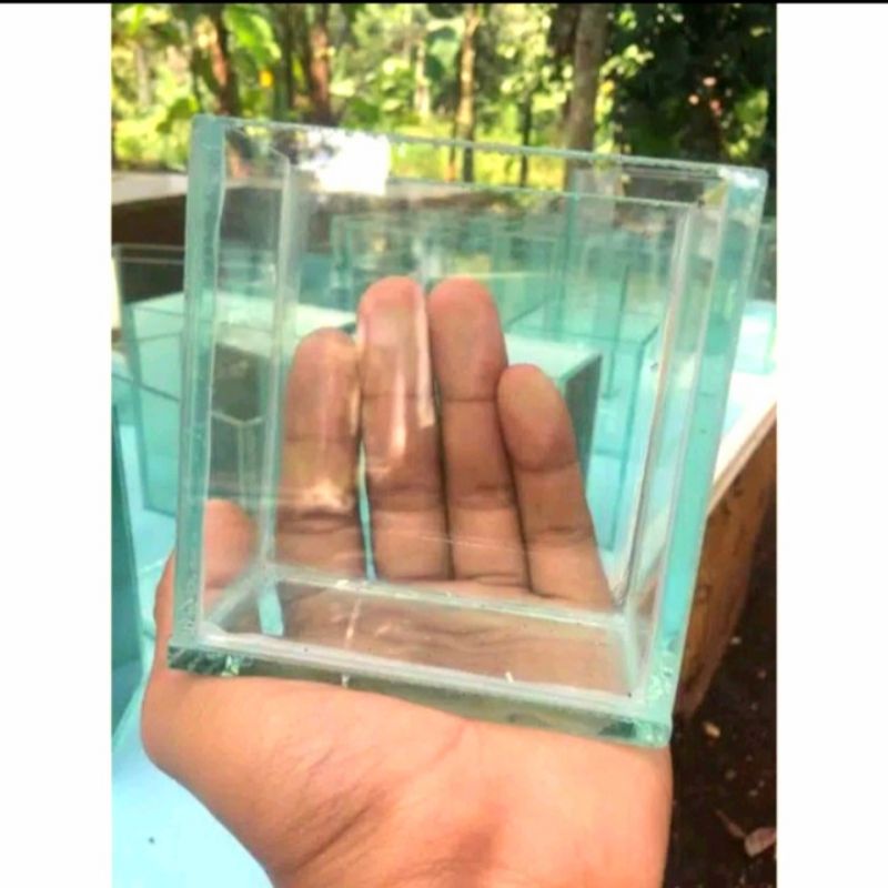 Aquarium kecil untuk ikan cupang /Soliter mini ikan cupang dan lainnya