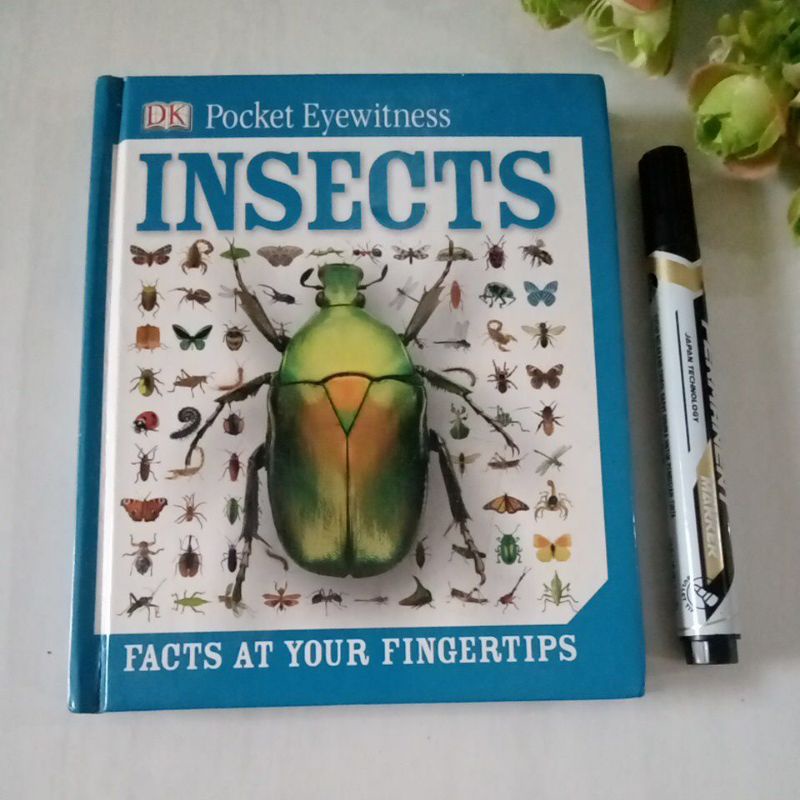 Pocket Eyewitness Insects DK prelove