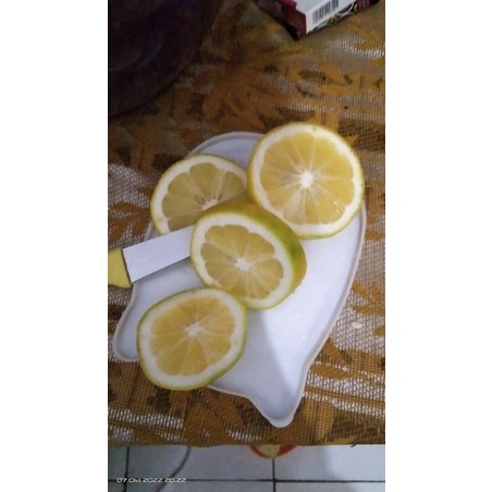 

lemon