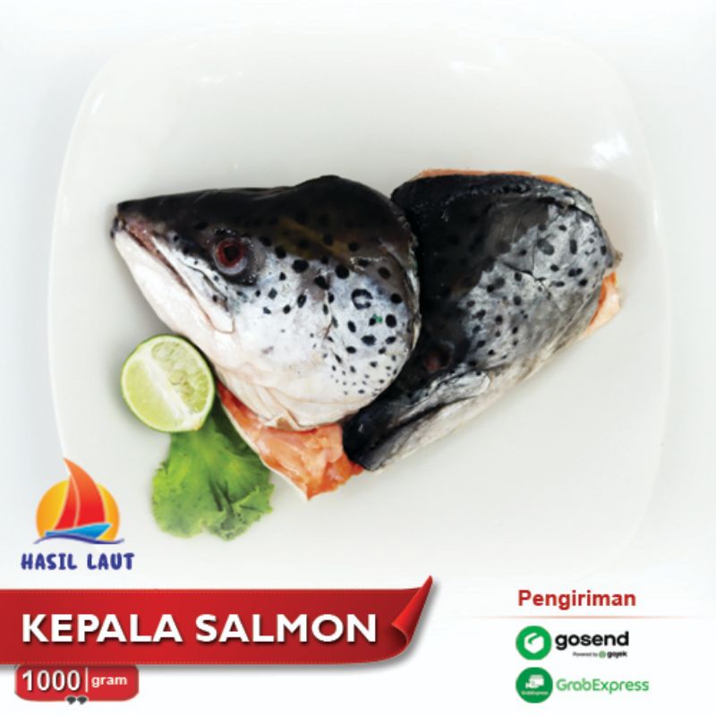 Exp Lama (COD) Kepala Salmon 1 kg Berkualitas