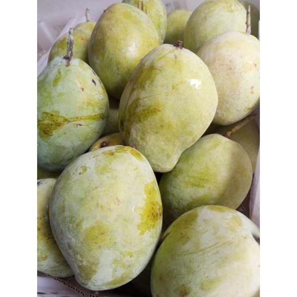 

mangga dermayu manis, legit 1kg