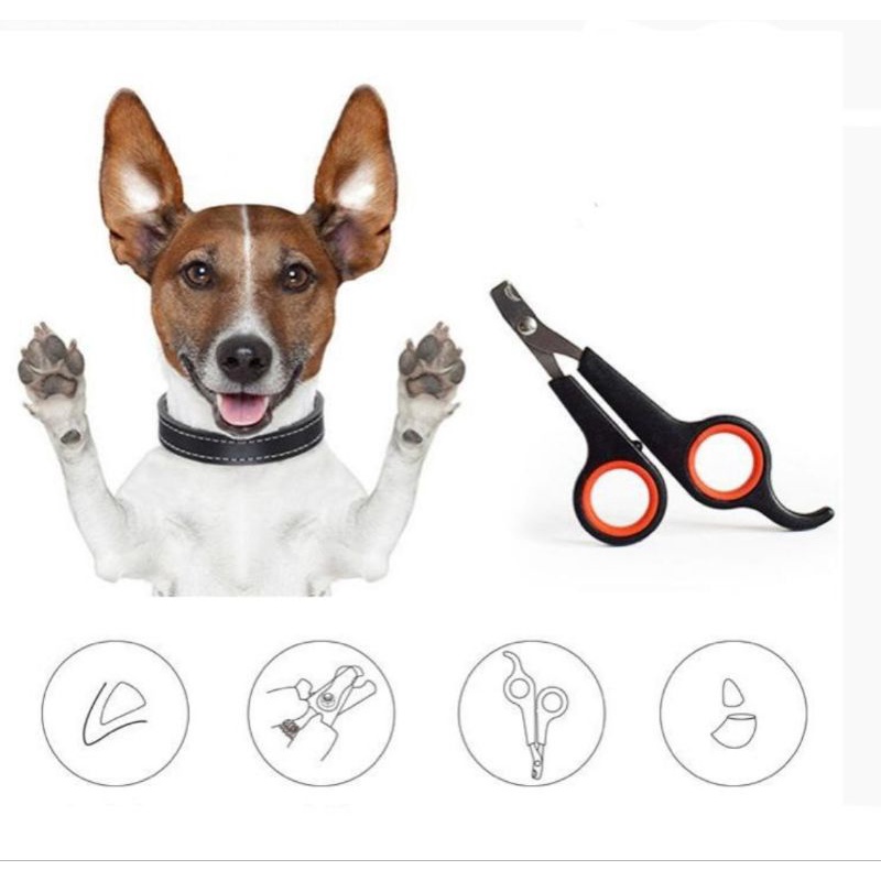 Alat Potong Kuku Kucing Anjing Gunting Kuku Hewan Pet Nail Clipper Pemotong Kuku Peliharaan Kesayangan