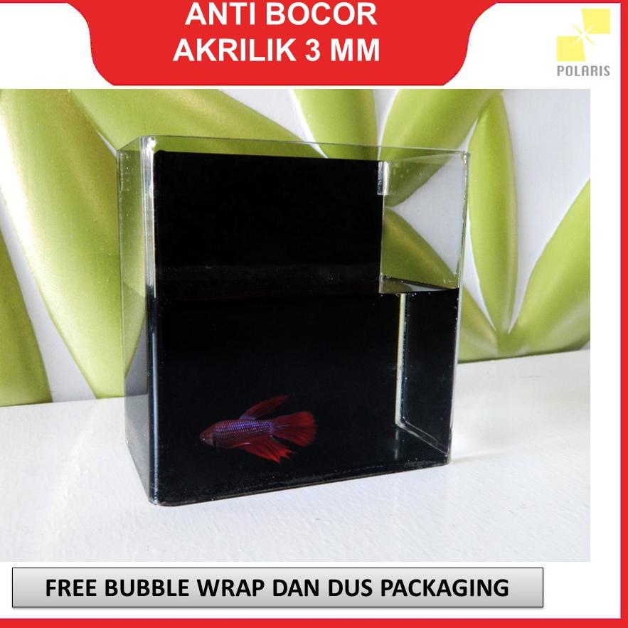 SOLITER AKRILIK SELFIE IKAN CUPANG