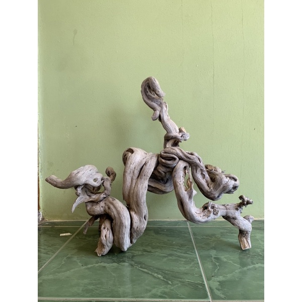 akar aquascep akar kayu aquarium