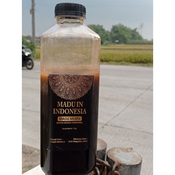 

Madu Murni 1 kg Raw Honey Asli Alami Al Shifa Uray Javahills
