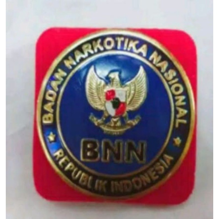 PIN BNN