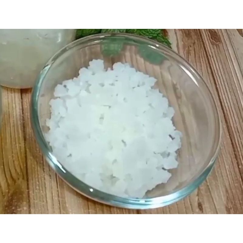 Bibit Water Kefir / Kristal Alga Jepang