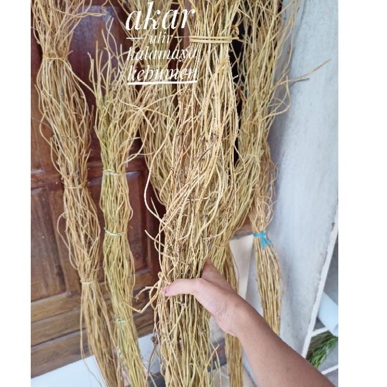 Ranting Akar Ulir Dekorasi Ring Arch Lingkaran Rustic Hiasan Vas Guci Rotan Palem Dried Bunga Bambu 