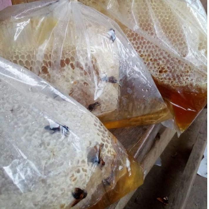 

COD✔️Madu Asli Murni Original - Madu Odeng Asli 650gr {500 ML} Madu Hutan Baduy - Madu Afifah 99|KD1