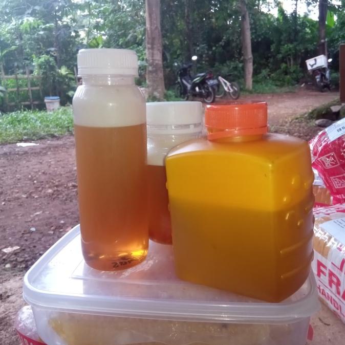 

TERBARU SUMBAWA PREMIUM 1/2KG BERKUALITAS