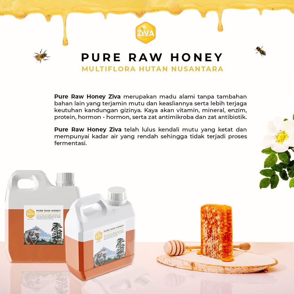 Madu Ziva Pure Raw Honey Gratis Emas Mini Gold - Madu Asli 100% Tanpa Campuran Murni Original Dari Lebah Hutan Multiflora Nusantara Kualitas Super Terbaik Dan Bagus Untuk Kesehatan