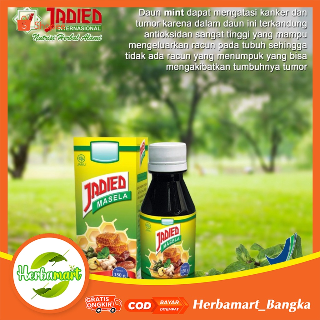 

Madu Jadied Sehat Lambung / Obat Herbal Asam Lambung, Maag, Diare / Jadied Masela