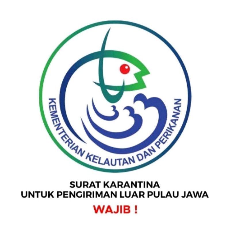 

surat karantina wajib untuk luar pulau
