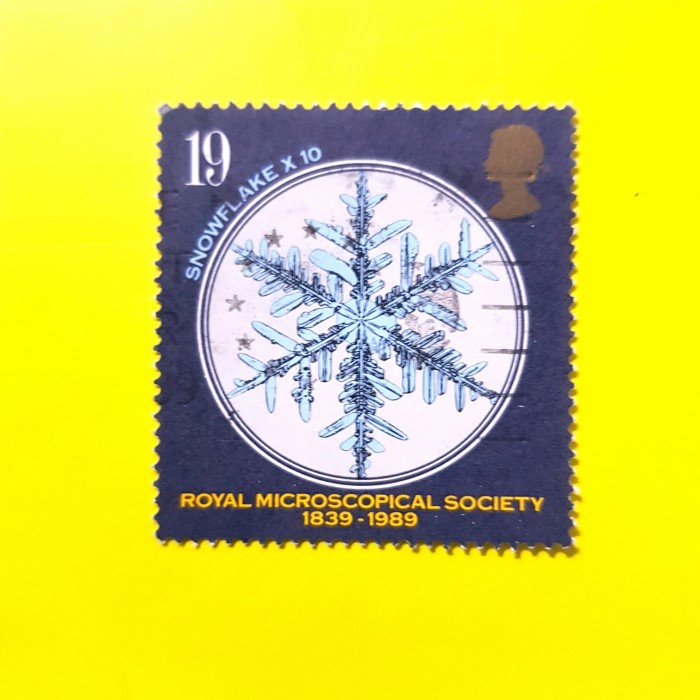 

Lucu Prangko Inggris Snowflake X 10 ~ Royal Microscopical Society 1839-1989 Murah