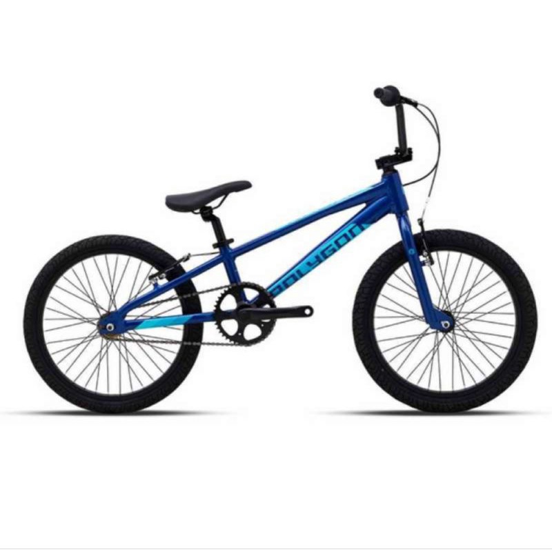 Sepeda Anak Polygon BMX 20 Rogue