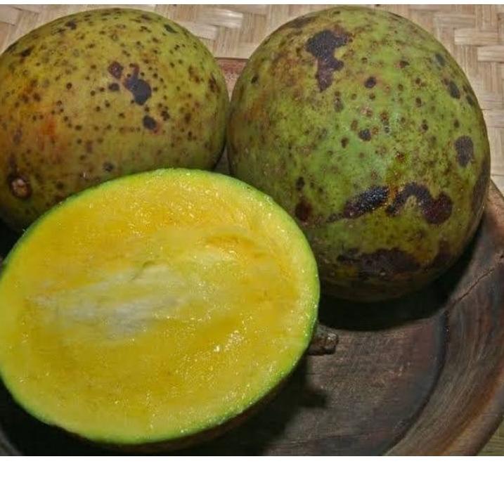 

ART7o2Nc--buah bacang / buah limus / buah pakel 1 kg