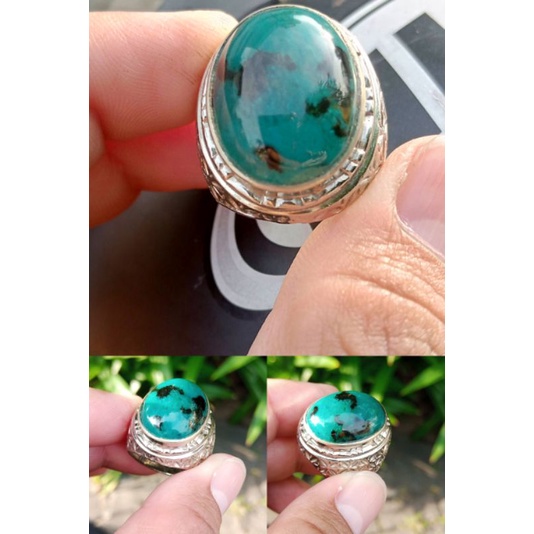 Bacan Palamea