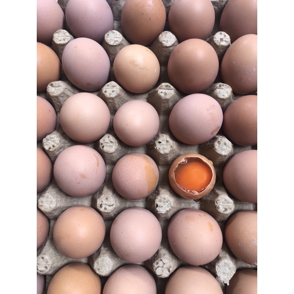 

Telur Ayam Omega /kg