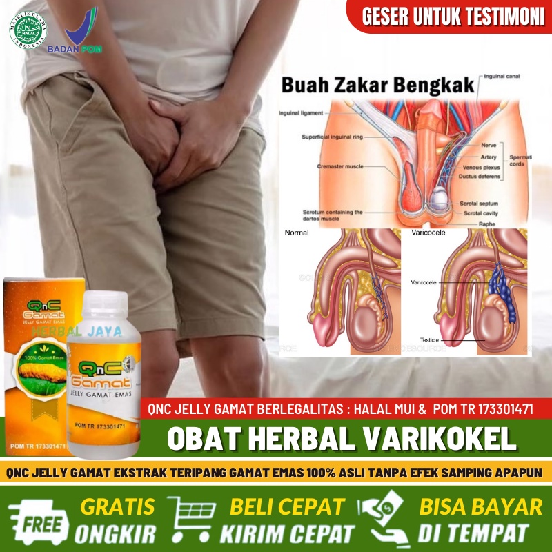 Jual Jamu Tradisional Untuk Varikokel Obat Buah Zakar Bengkak Sakit Obat Buah Zakar Besar