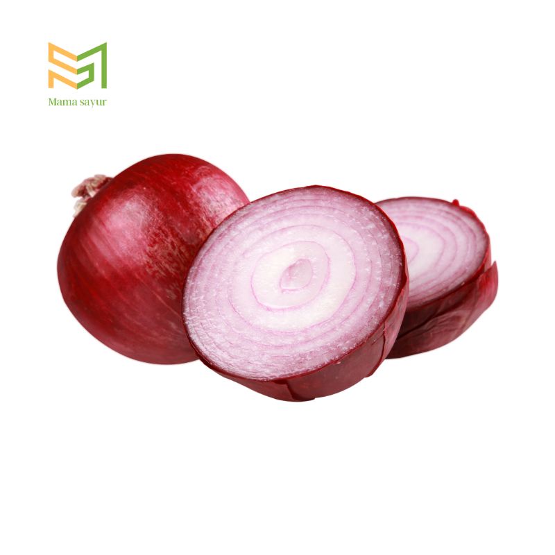 

Bawang merah india segar per pack
