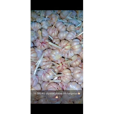 

BAPUT 1KG 19.500