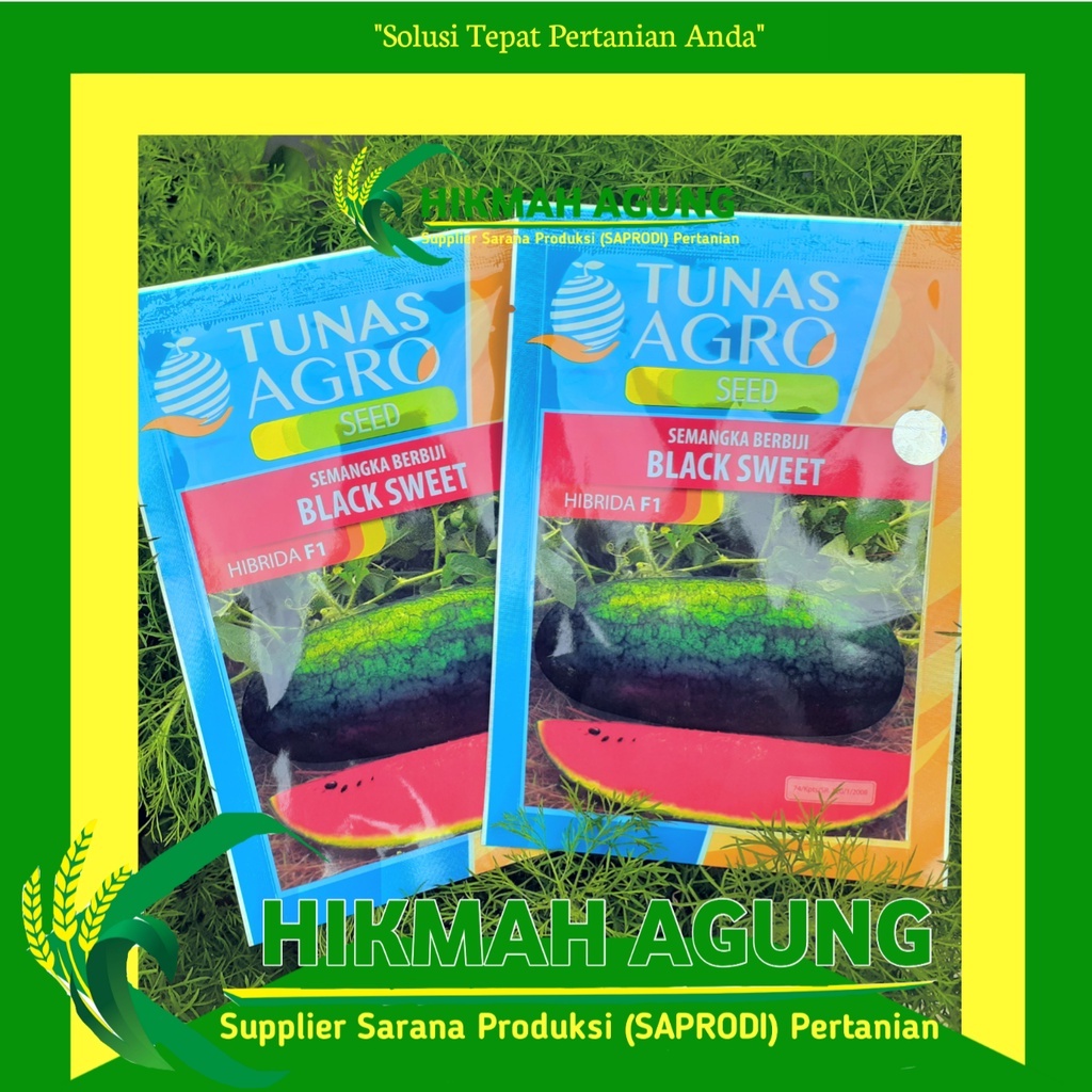 

Benih Semangka Black Sweet F1 10 gr Semangka Lonjong Daging Merah Kulit Hitam