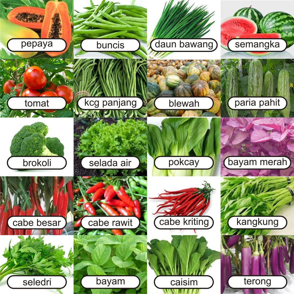 

Benih sayur