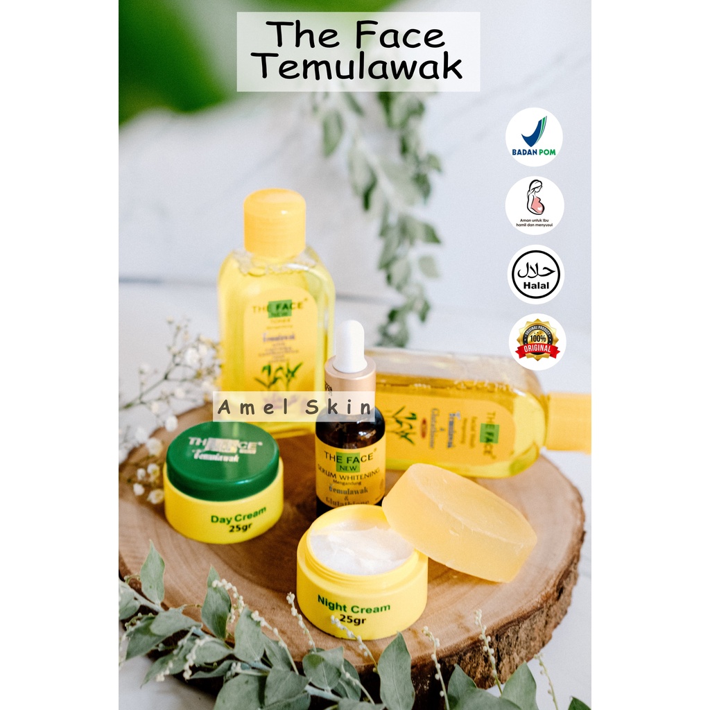 The Face Temulawak Paket A I Cream Brightening I Paket Wajah Susah Putih I Berjerawat I Cream BPOM I
