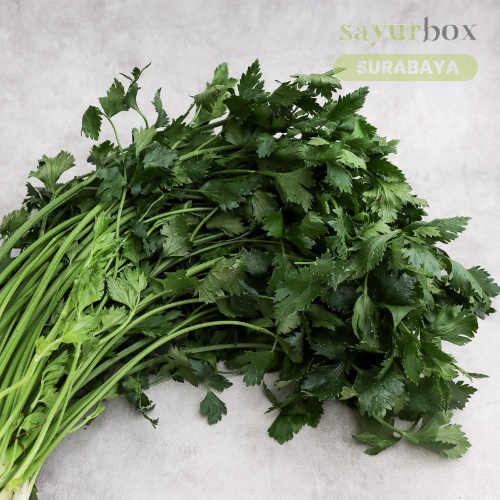 

Daun Seledri Conventional 1 kg (Sayurbox) - SURABAYA