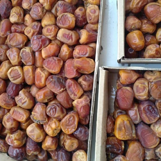 

READY ✅Kurma Sukari 3kg /Kurma Raja Sukari Premium|RA8