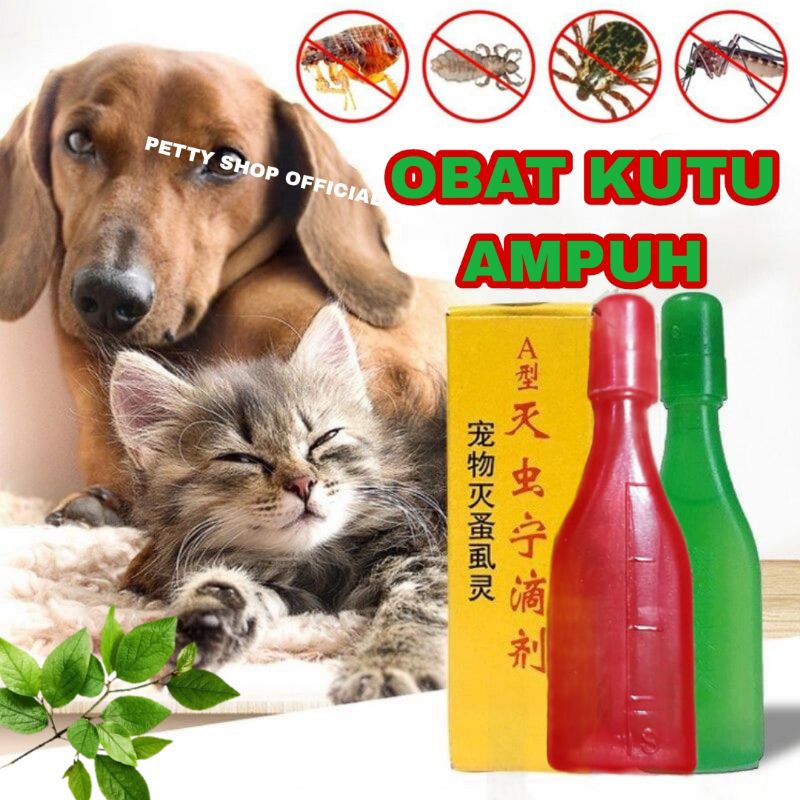 OBAT KUTU TETES KUCING ANJING AMPUH