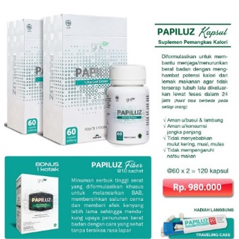 Papiluz FIBER (Minuman Serbuk Serat Alami) GNT ORIGINAL DIET DETOX PELANGSING BPOM