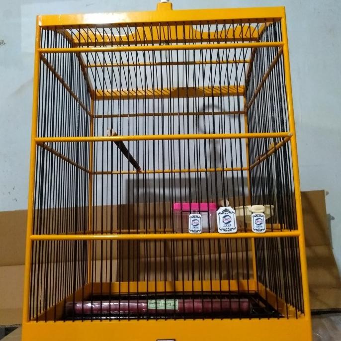 Baru sangkar/kandang burung kotak ebod no 1 warna (kuning) grab instan