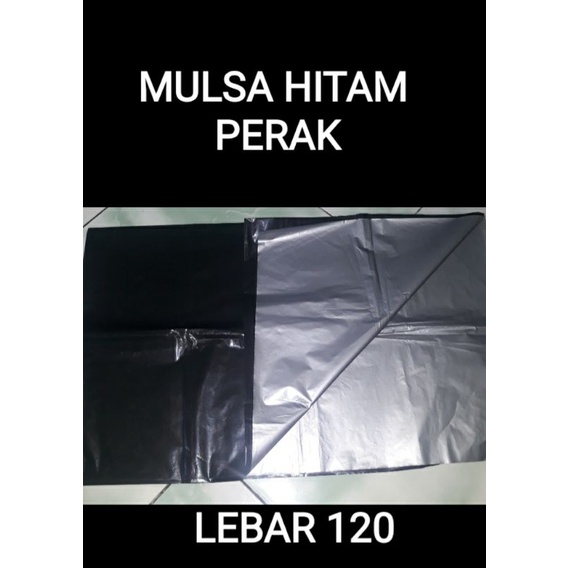 MULSA HITAM PERAK ECERAN (120cm)