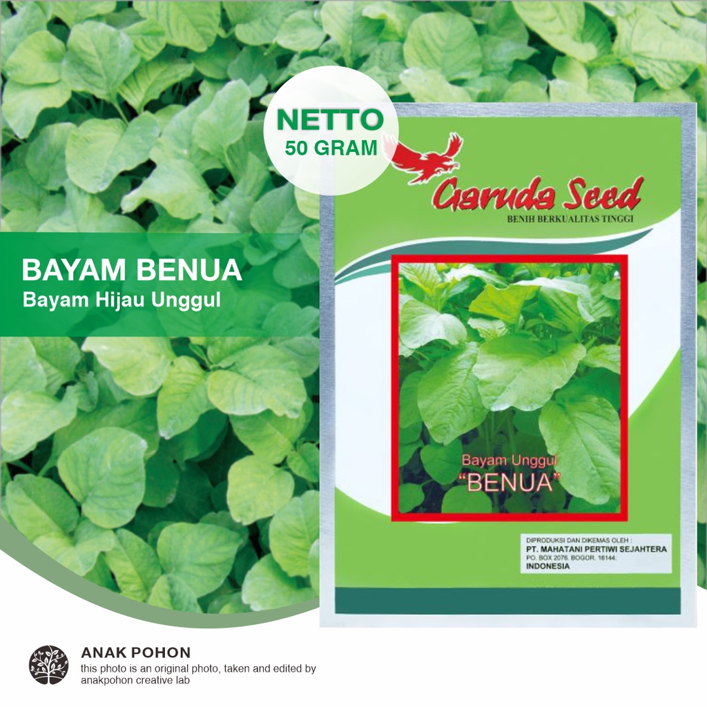 (1 PACK) Benih Bayam Hijau Unggul BENUA Seeds - Garuda Seed - 50 GRAM