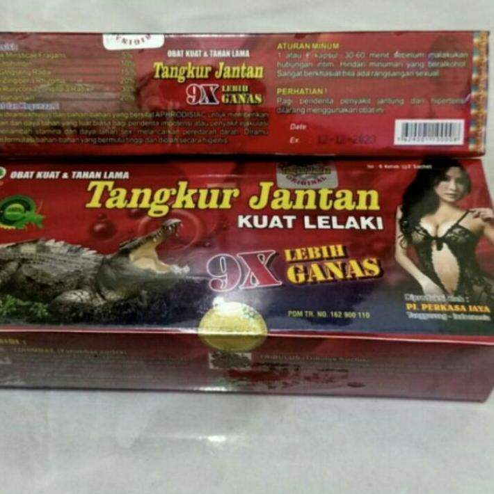 

READY ✅TANGKUR JANTAN HARGA PERBOX|KD7