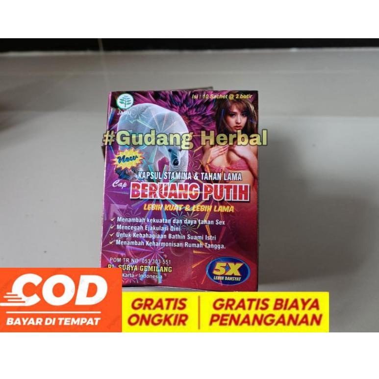 HOT SALE Beruang Putih kapsul ⁂ 849